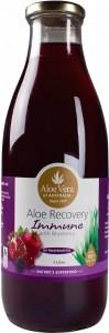 Aloe Vera Aloe Recovery Immune with Blueberry G/F Glass 1L