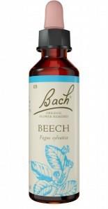 Bach Flower Beech 20ml