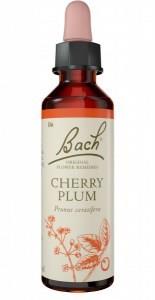 Bach Flower Cherry Plum 20ml
