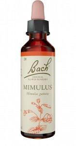 Bach Flower Mimulus 20ml