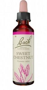 Bach Flower Sweet Chestnut 20ml