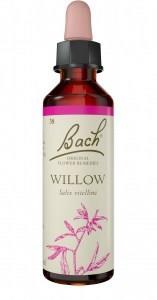 Bach Flower Willow 20ml